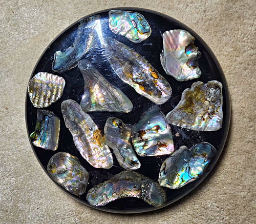 The shell factory handmade - shell,
