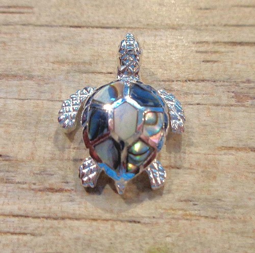 15mm solid 925 - solid, paua