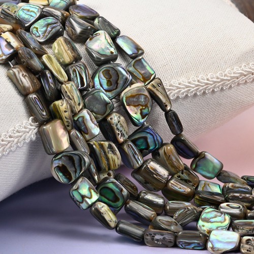 Abalone shell rectangle - abalone,