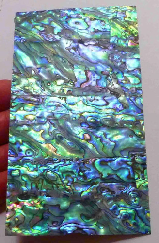 Genuine dark paua - genuine,
